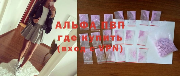 стафф Гатчина