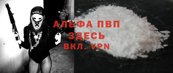 спайс Галич
