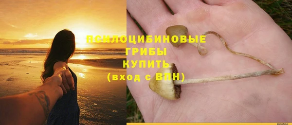 индика Переславль-Залесский