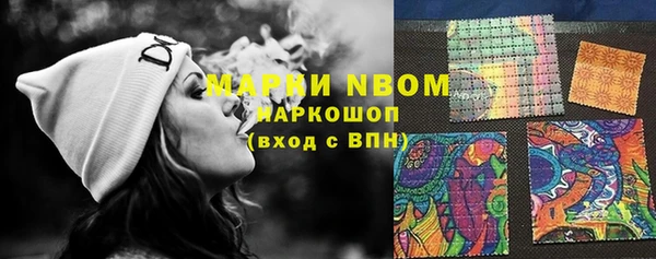стафф Гатчина